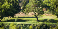Bluff_Pointe-1