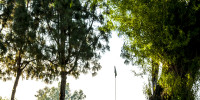 Bluff_Pointe-6