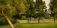 cropped-Bluff_Pointe-15.jpg